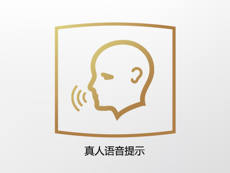 真人语音提示,语音导向操作